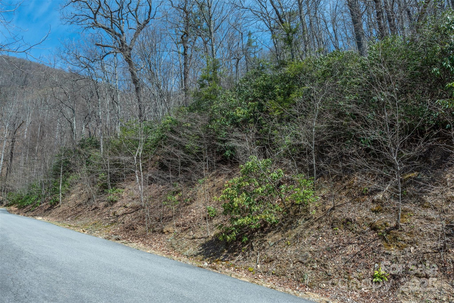 23 Winding Poplar Road #912 - Photo 17