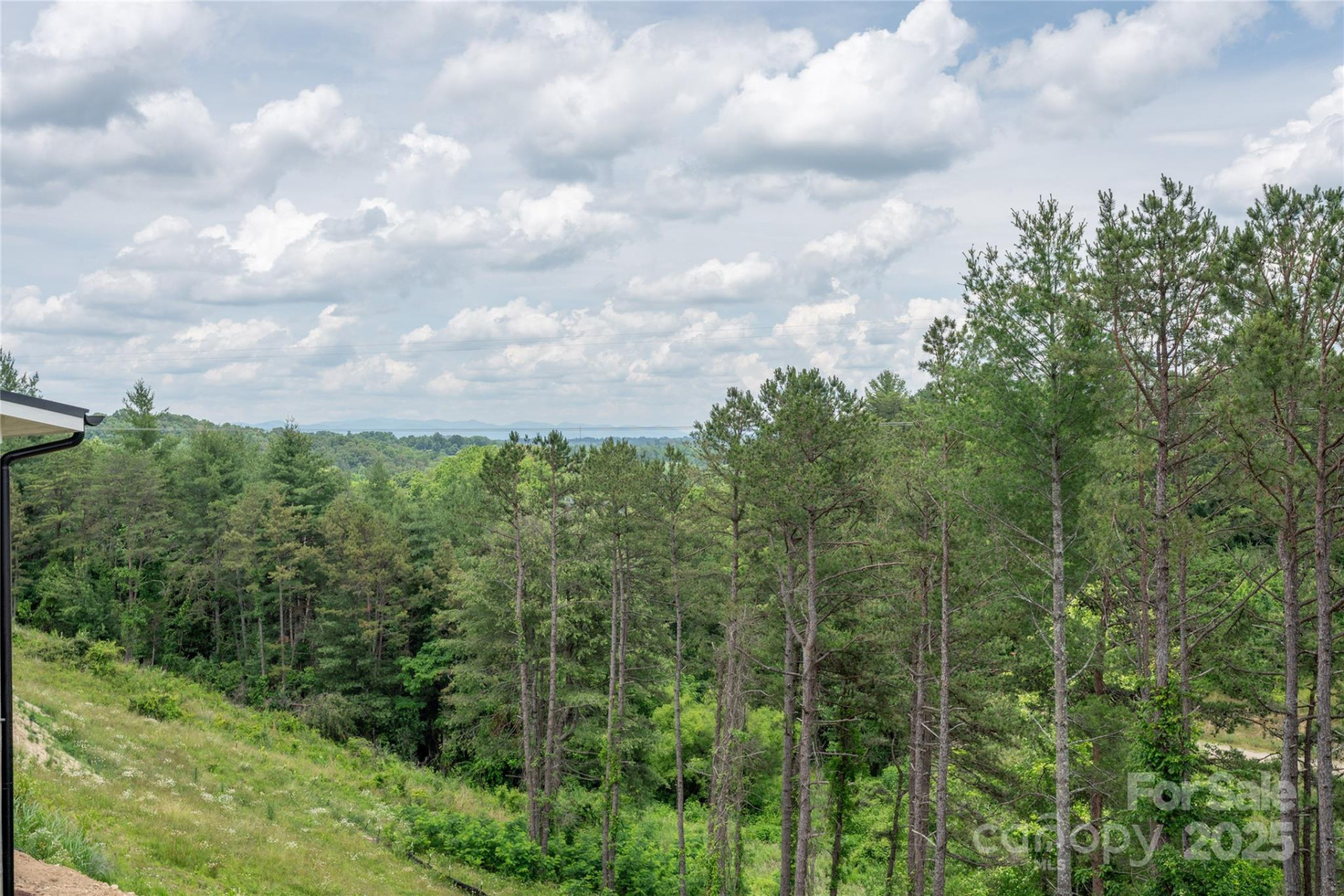 237 Westridge Farm Road #22 - Photo 8