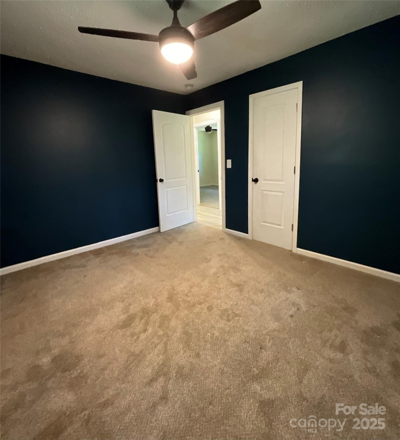 152 Mountainview Street - Photo 15