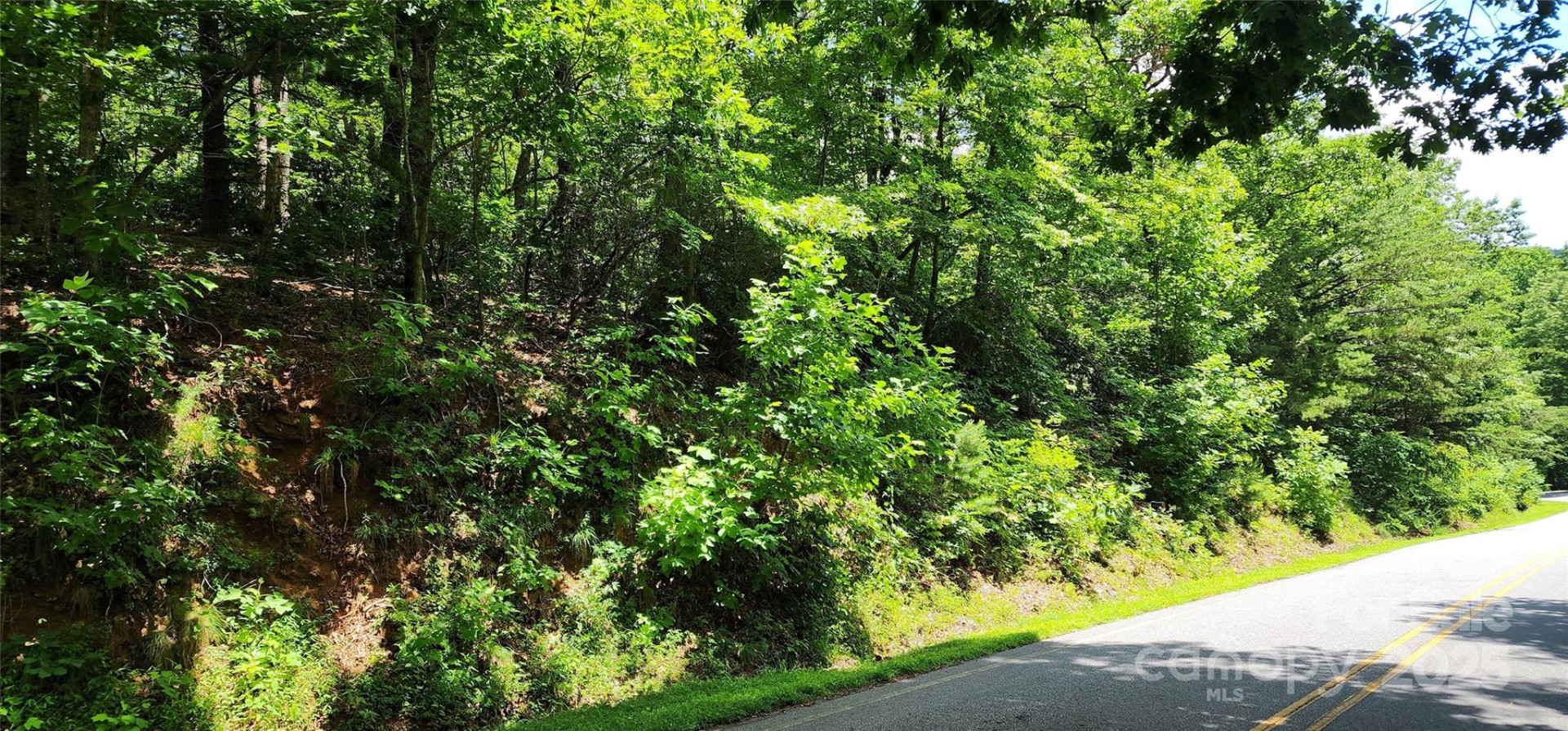 Lot 35 White Oak Mountain Road - Photo 16