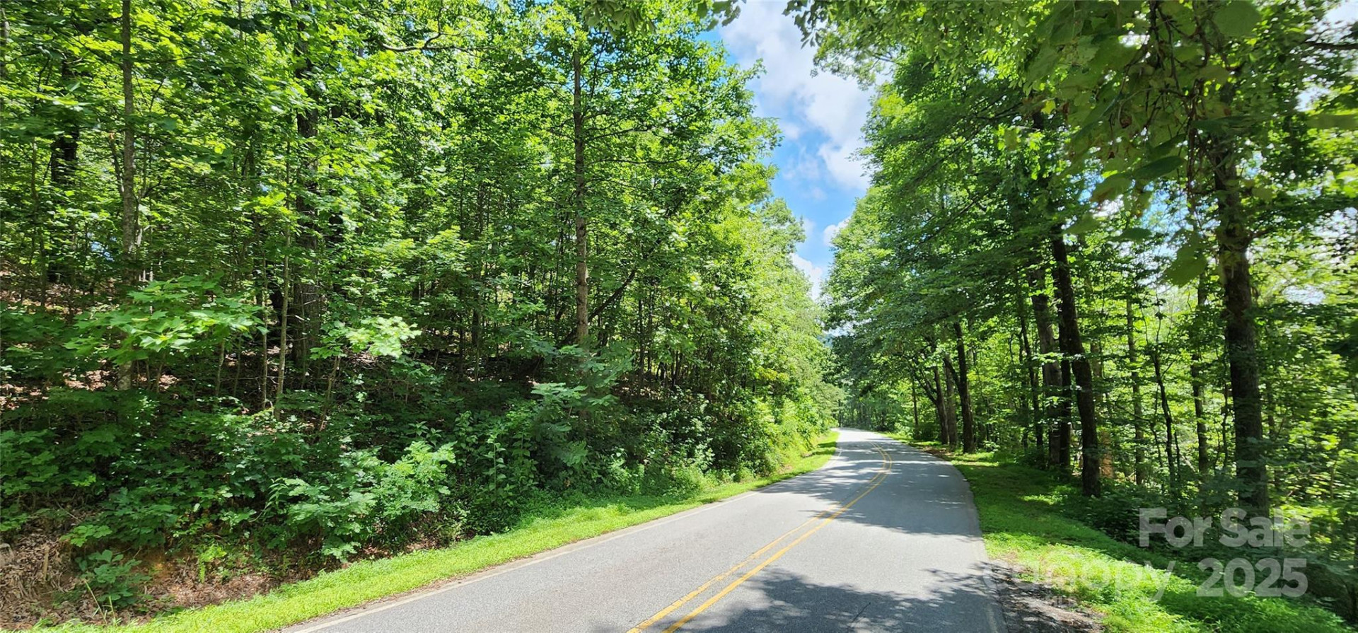 Lot 35 White Oak Mountain Road - Photo 3
