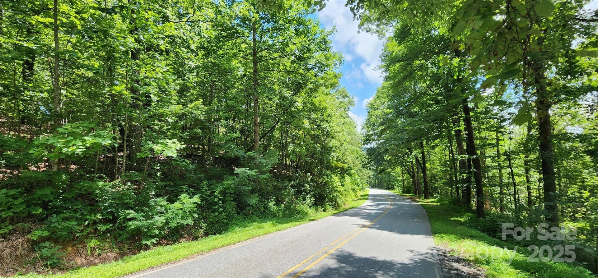 Lot 35 White Oak Mountain Road - Photo 3