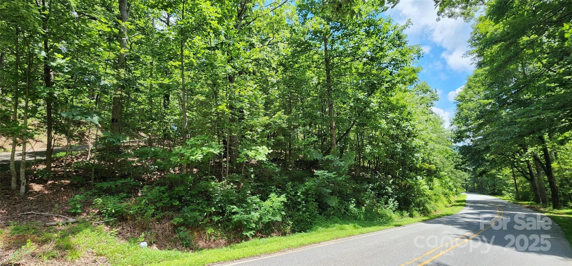 Lot 35 White Oak Mountain Road - Photo 4