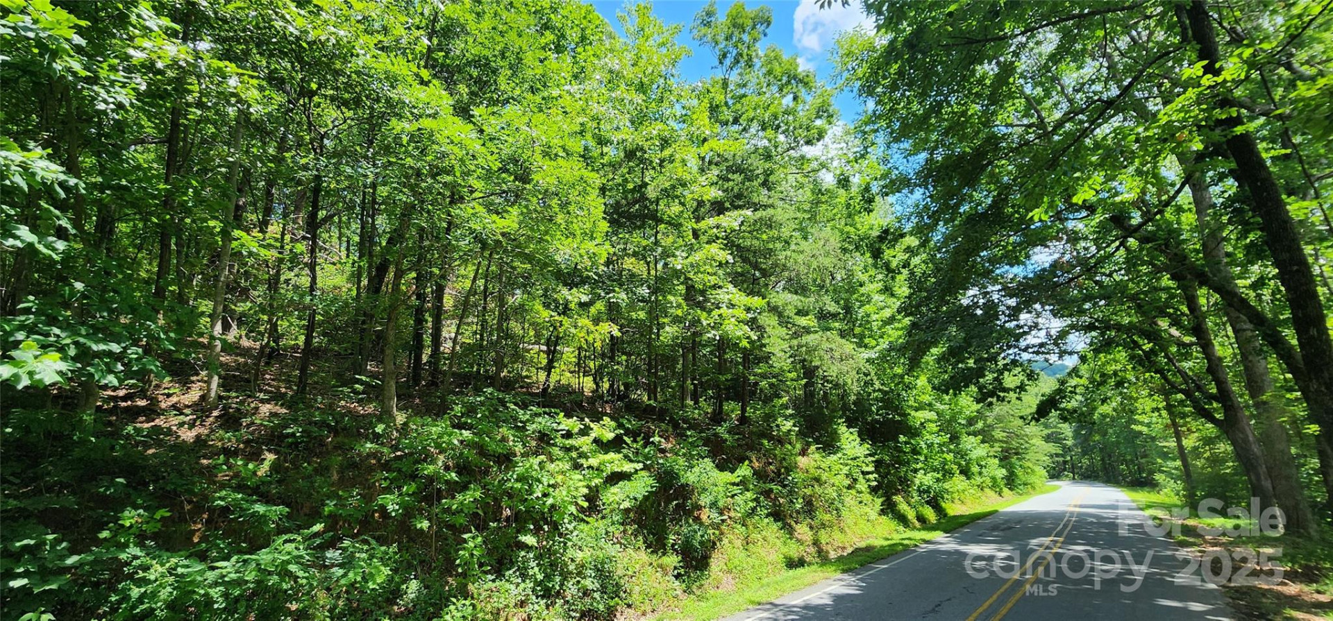 Lot 35 White Oak Mountain Road - Photo 7