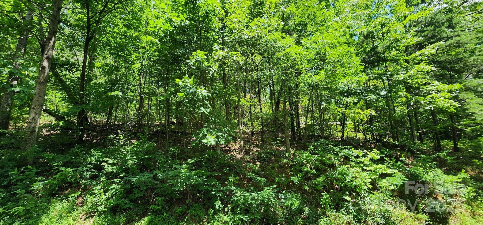 Lot 35 White Oak Mountain Road - Photo 8