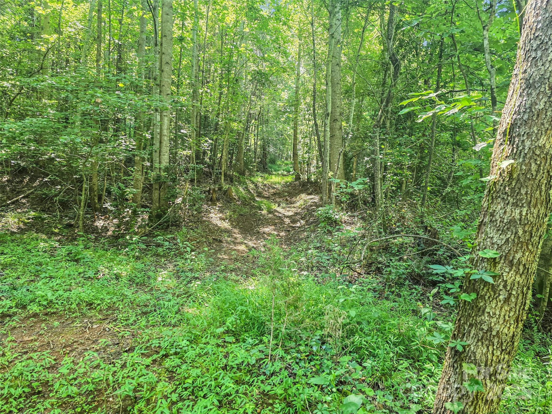 0000 Bills Creek Road - Photo 11