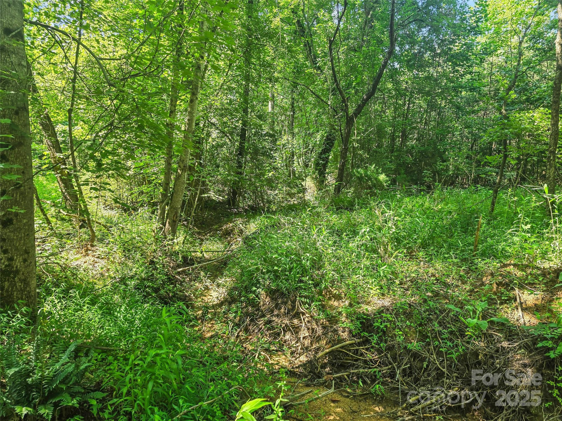 0000 Bills Creek Road - Photo 13