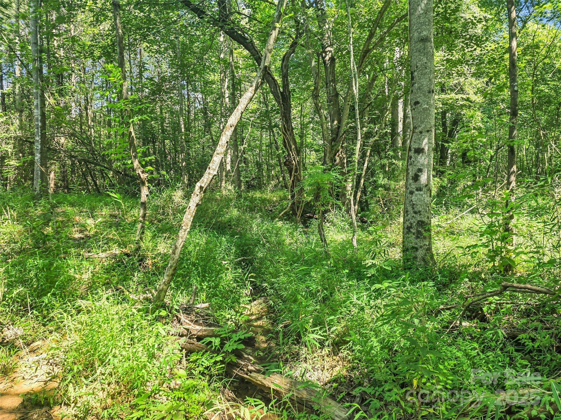 0000 Bills Creek Road - Photo 14