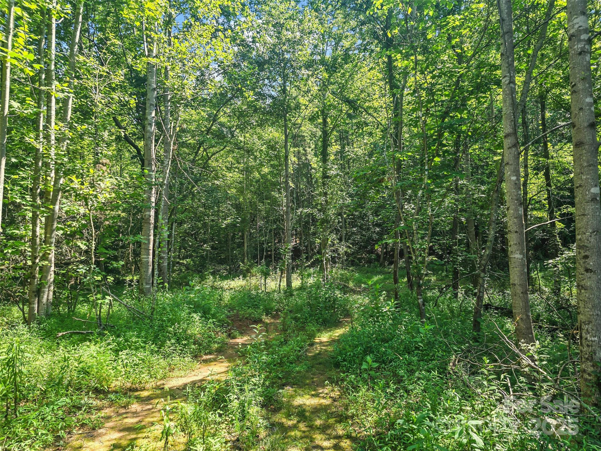 0000 Bills Creek Road - Photo 16