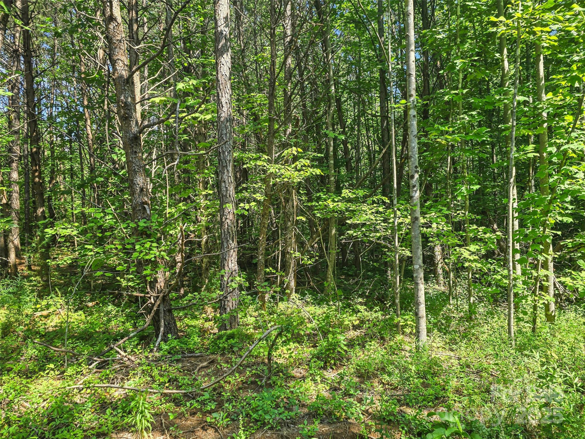 0000 Bills Creek Road - Photo 17