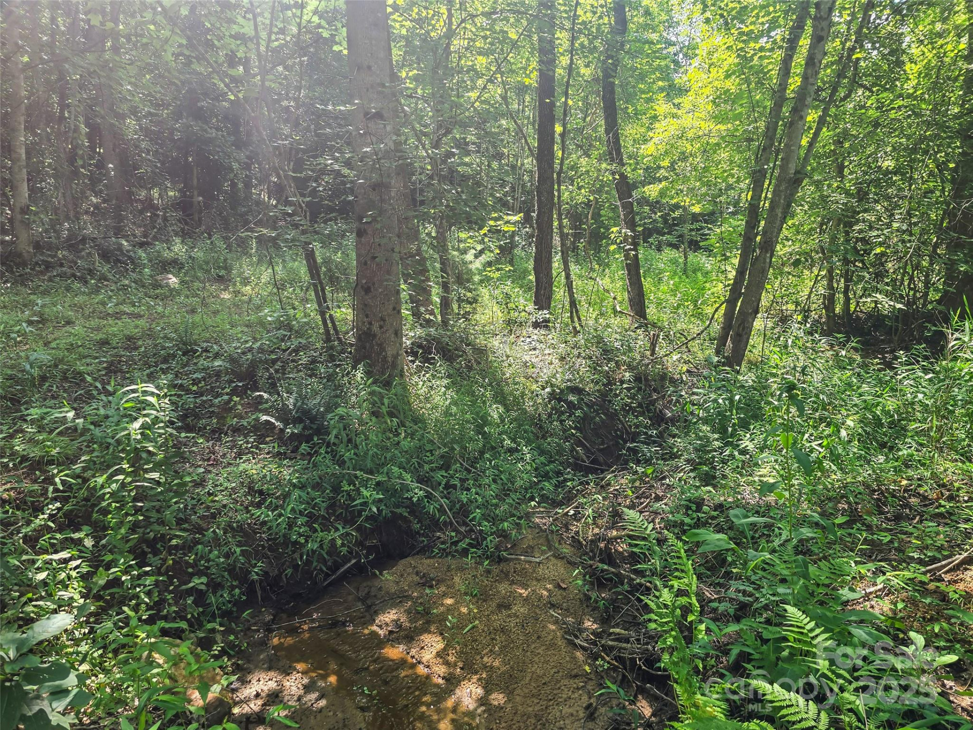 0000 Bills Creek Road - Photo 18