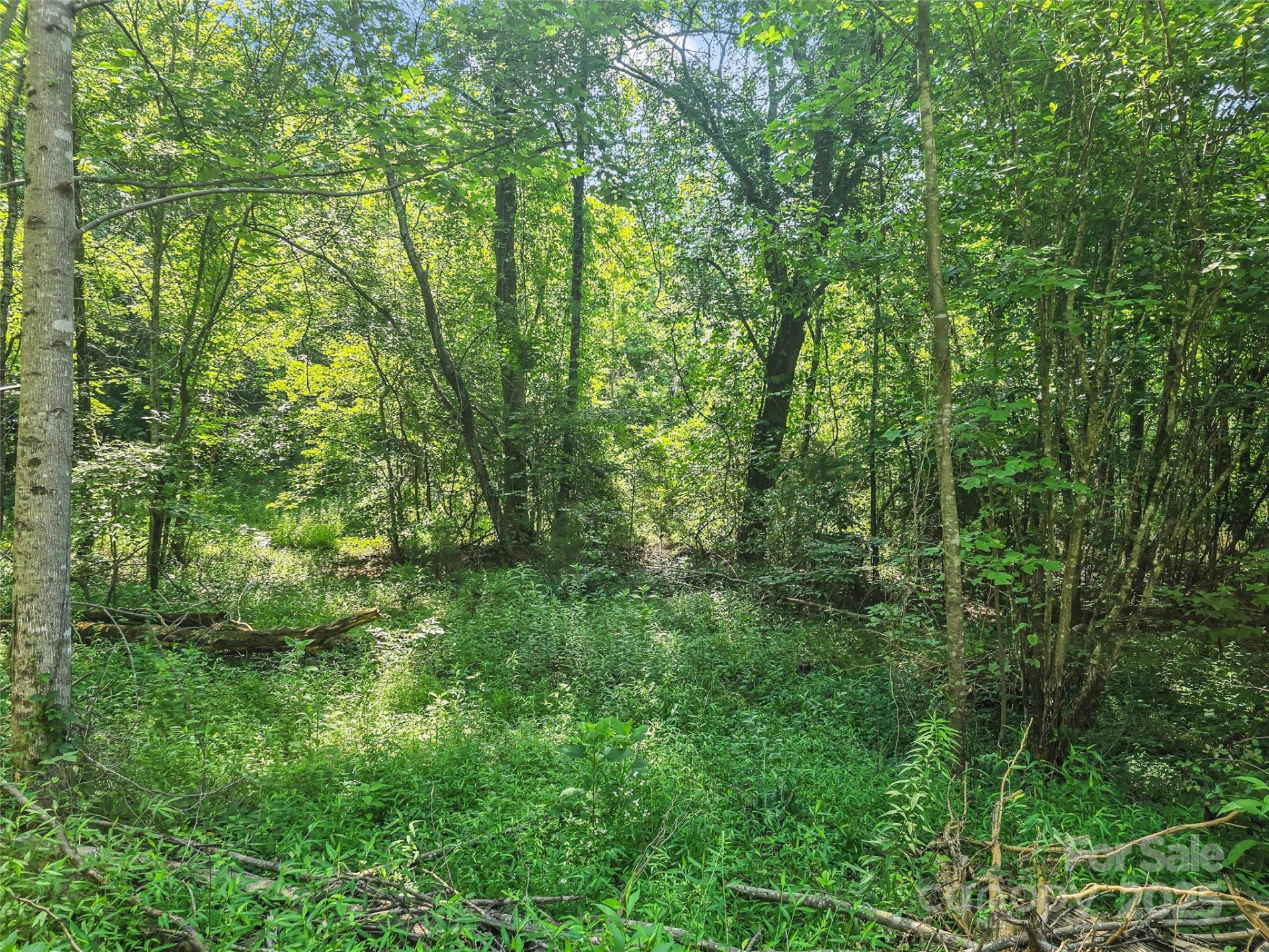 0000 Bills Creek Road - Photo 22