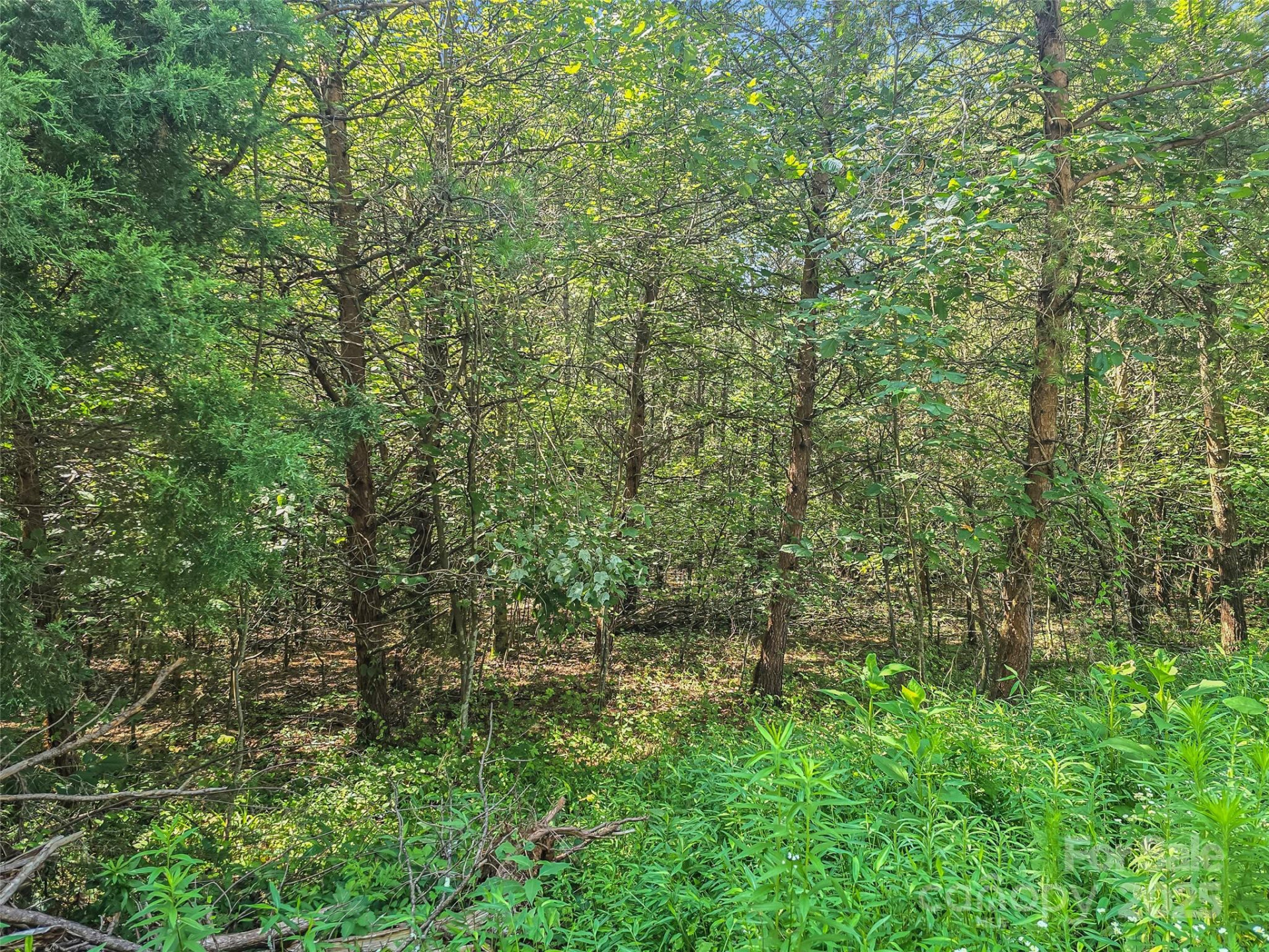 0000 Bills Creek Road - Photo 24