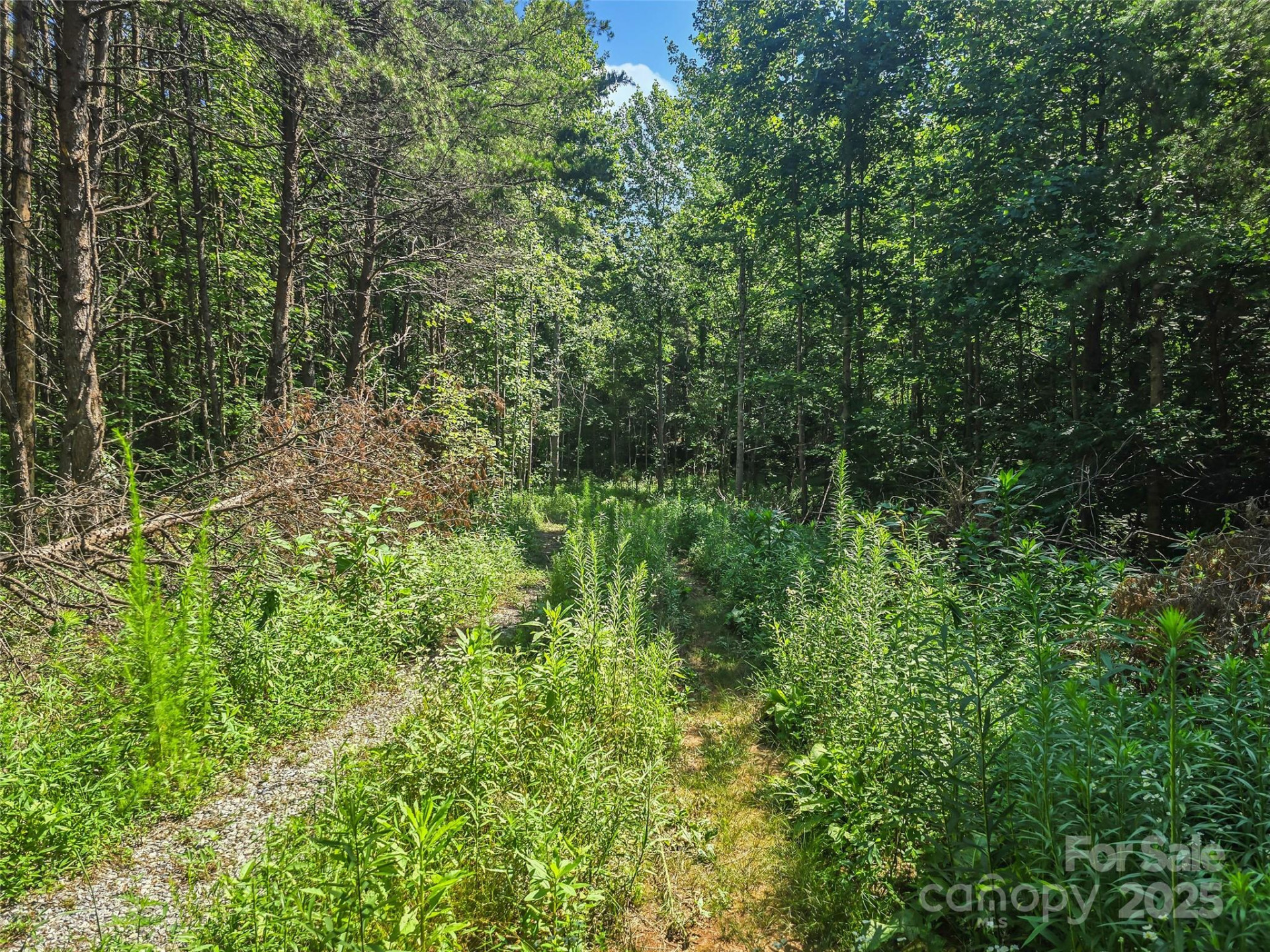 0000 Bills Creek Road - Photo 25