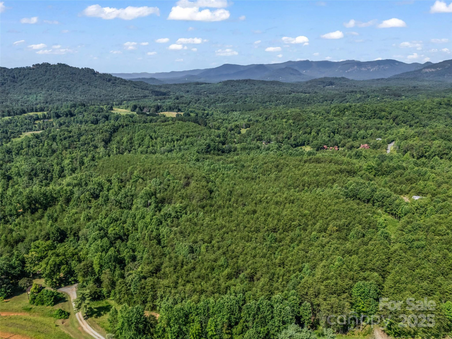 0000 Bills Creek Road - Photo 4