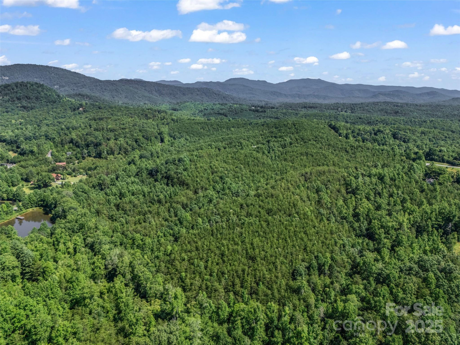 0000 Bills Creek Road - Photo 8