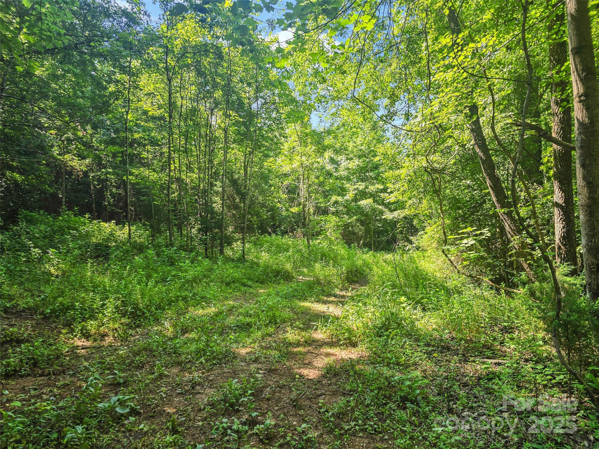 0000 Bills Creek Road - Photo 10