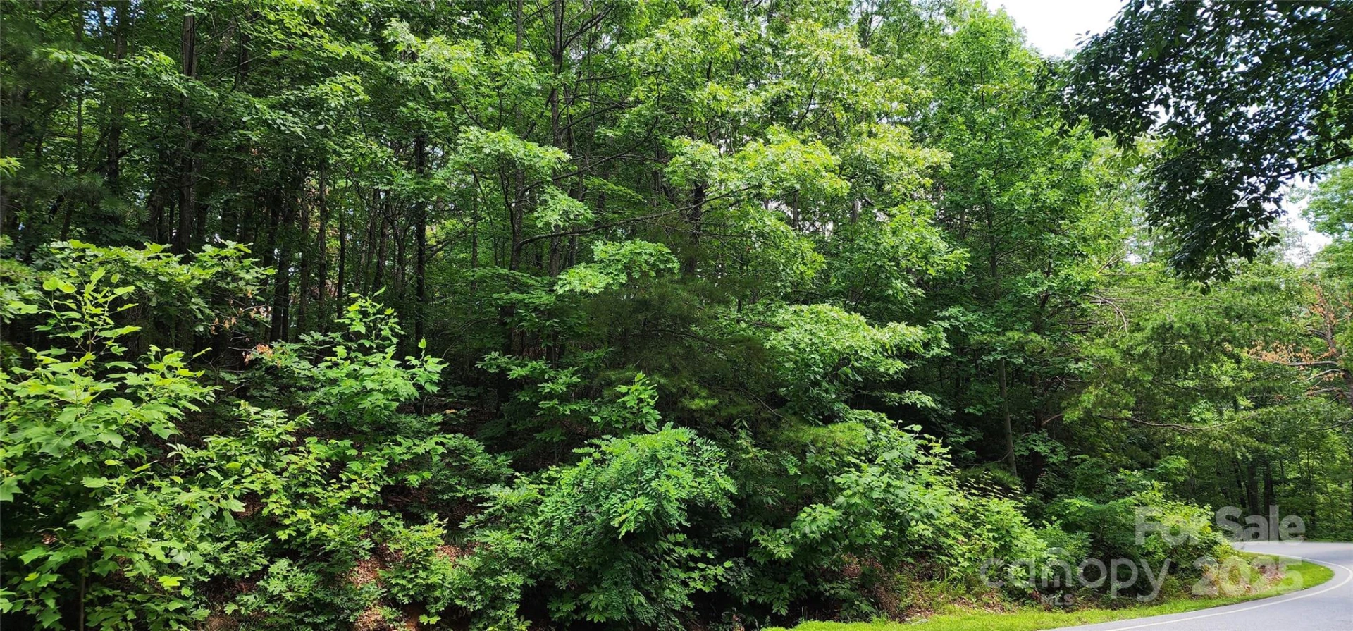 Lot 36 White Oak Mountain Road - Photo 2