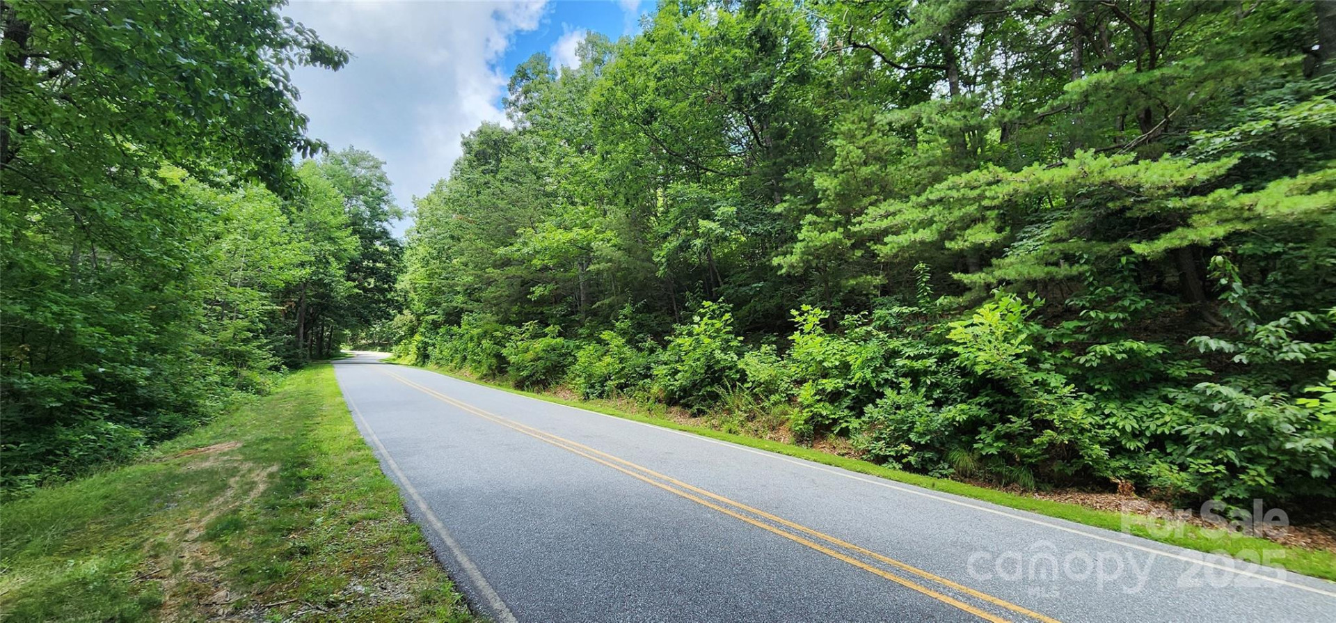 Lot 36 White Oak Mountain Road - Photo 14