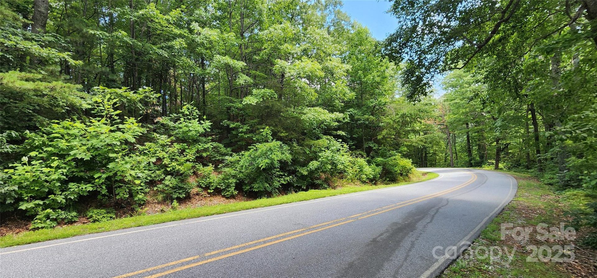 Lot 36 White Oak Mountain Road - Photo 3