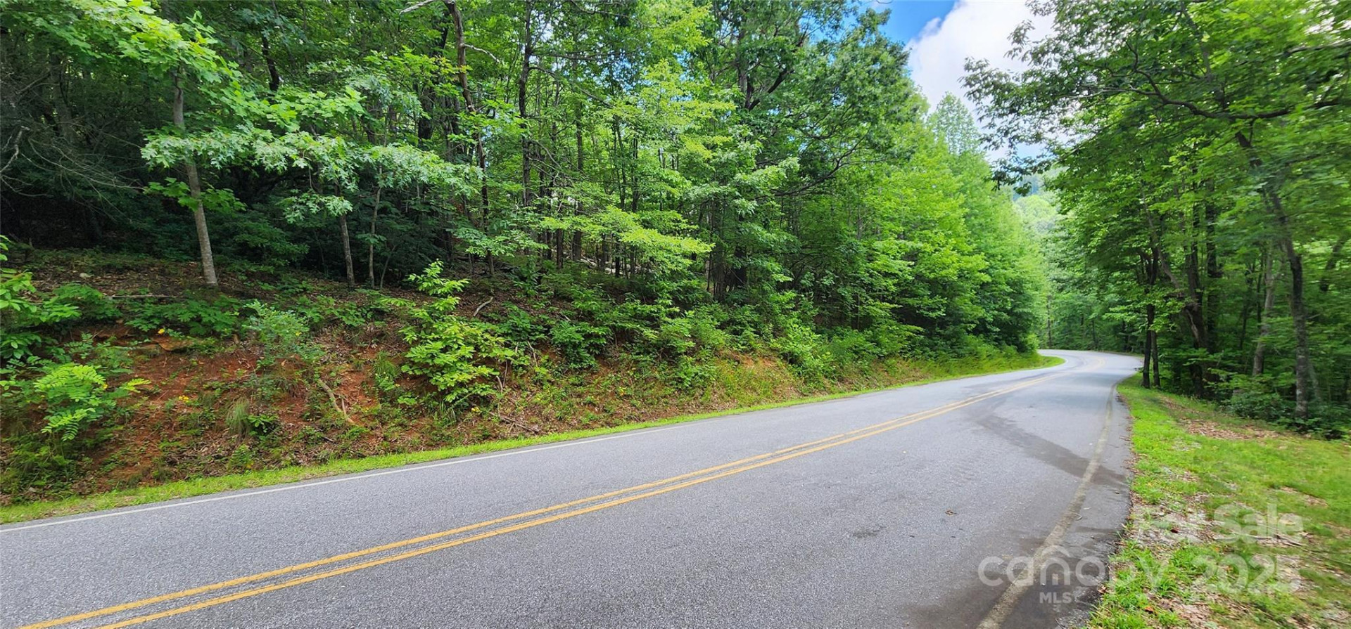 Lot 36 White Oak Mountain Road - Photo 5