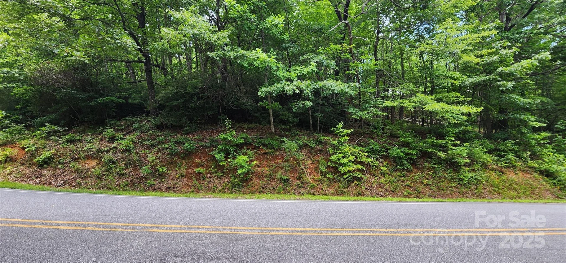 Lot 36 White Oak Mountain Road - Photo 6