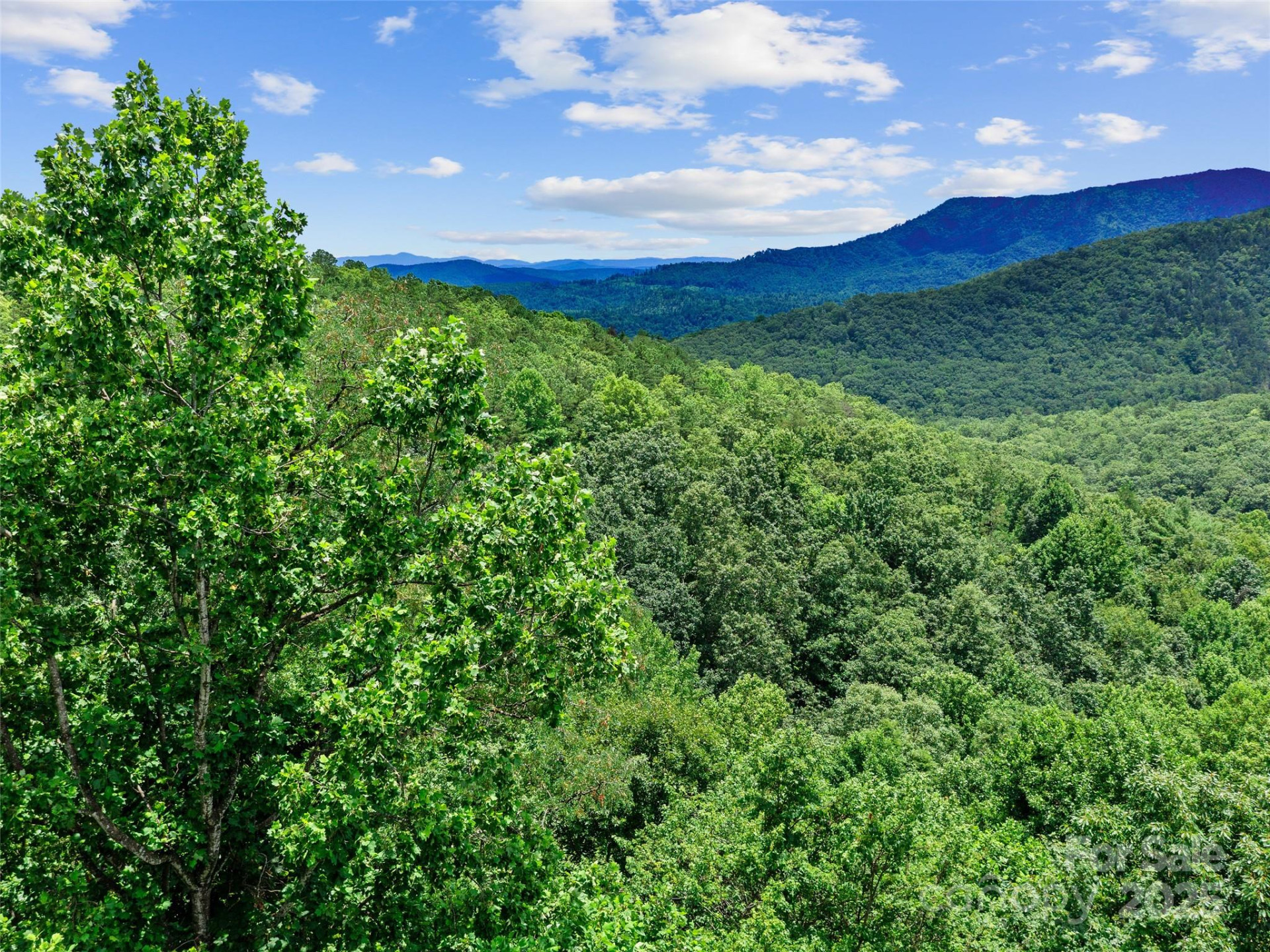 000 226 A Highway - Photo 15