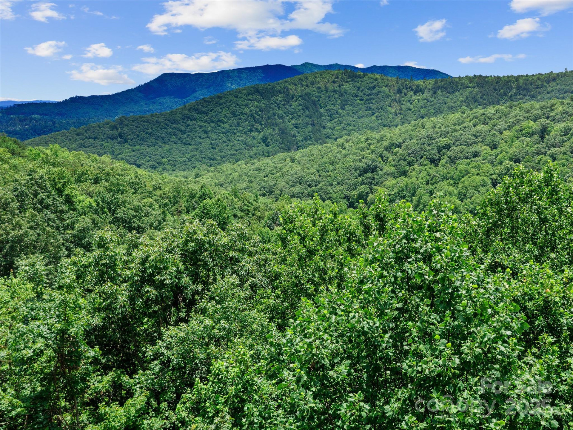 000 226 A Highway - Photo 4