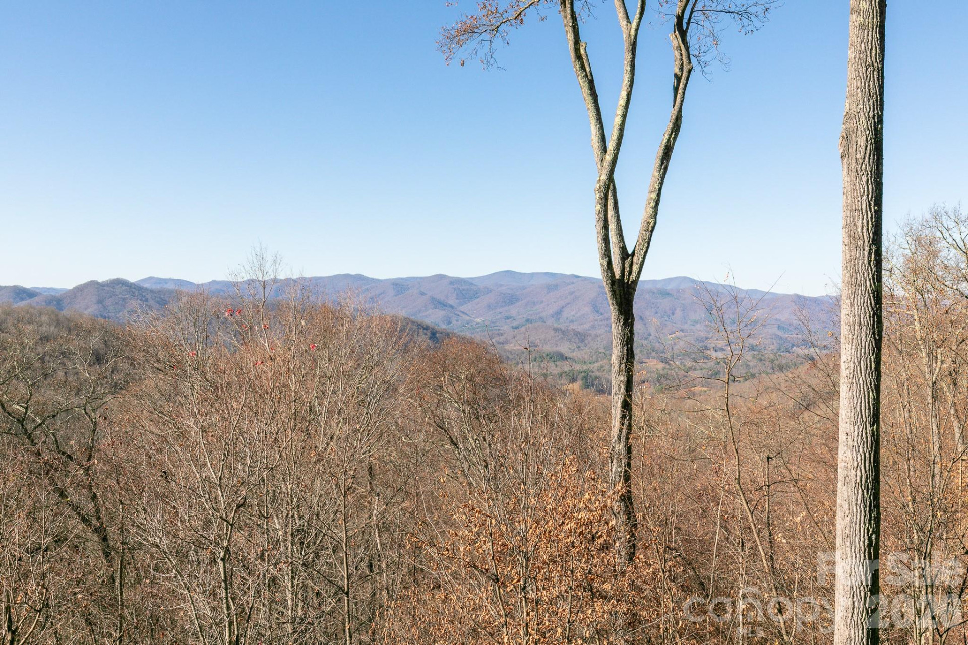 755 Andrew Banks Road - Photo 37