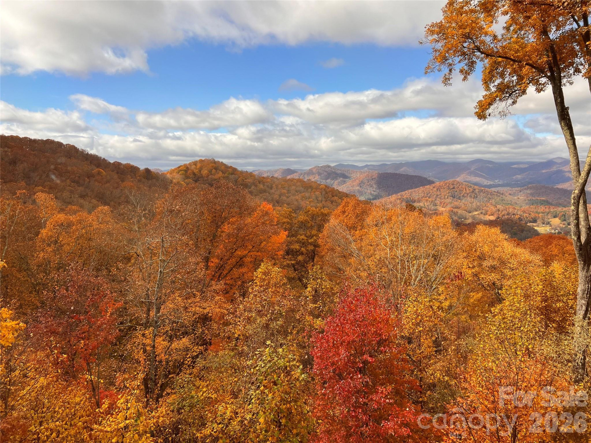 755 Andrew Banks Road - Photo 43