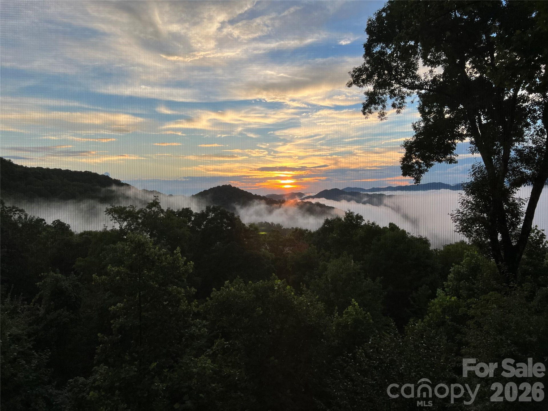 755 Andrew Banks Road - Photo 46