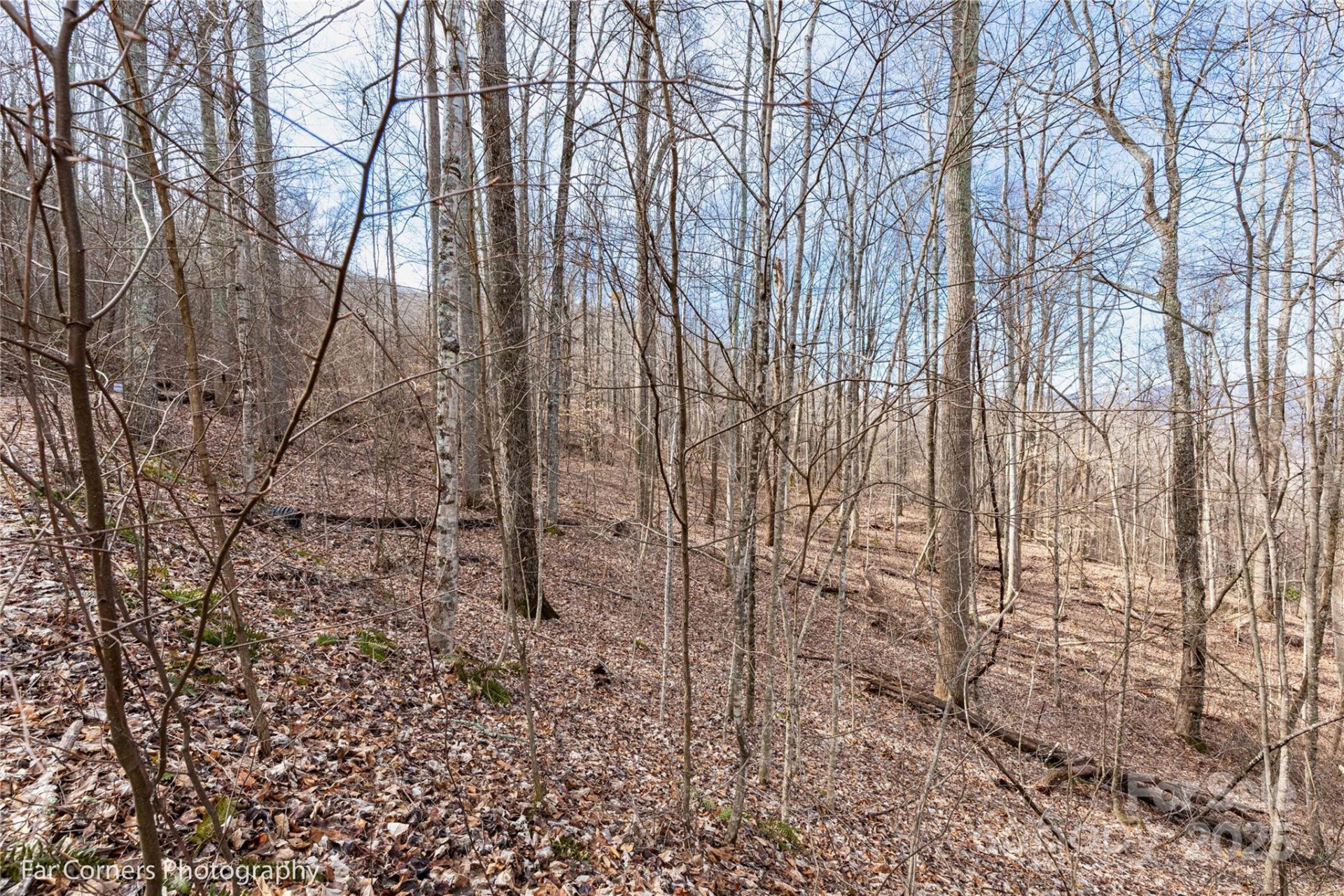 99999 Little Pond Pass #E21 - Photo 4