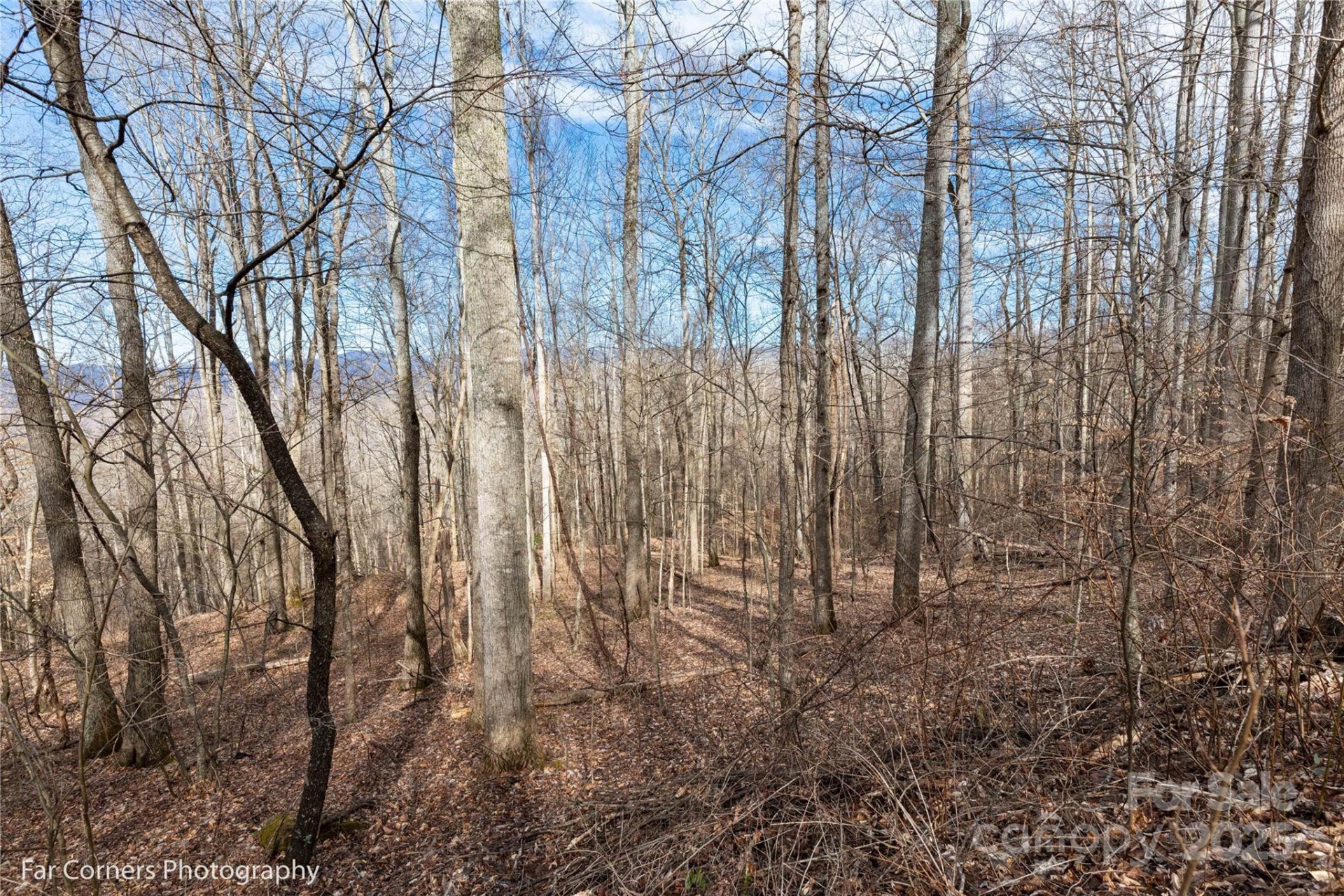 99999 Little Pond Pass #E21 - Photo 5