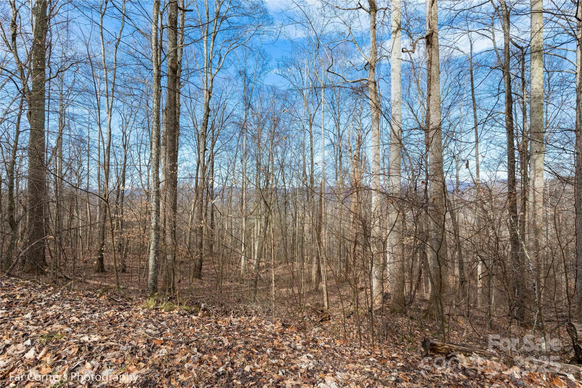 99999 Little Pond Pass #E21 - Photo 6