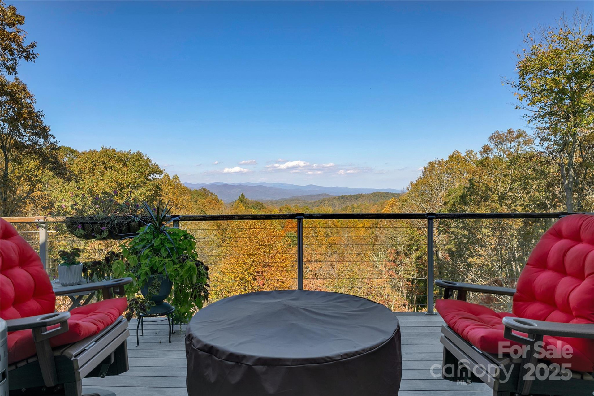 1291 Indian Camp Mountain Road - Photo 4