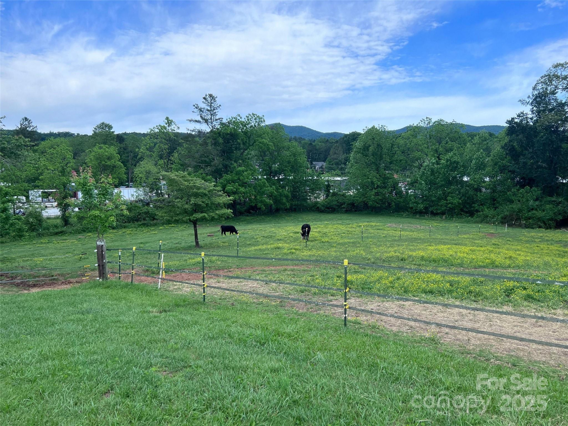 99999 Hamilton Drive - Photo 12