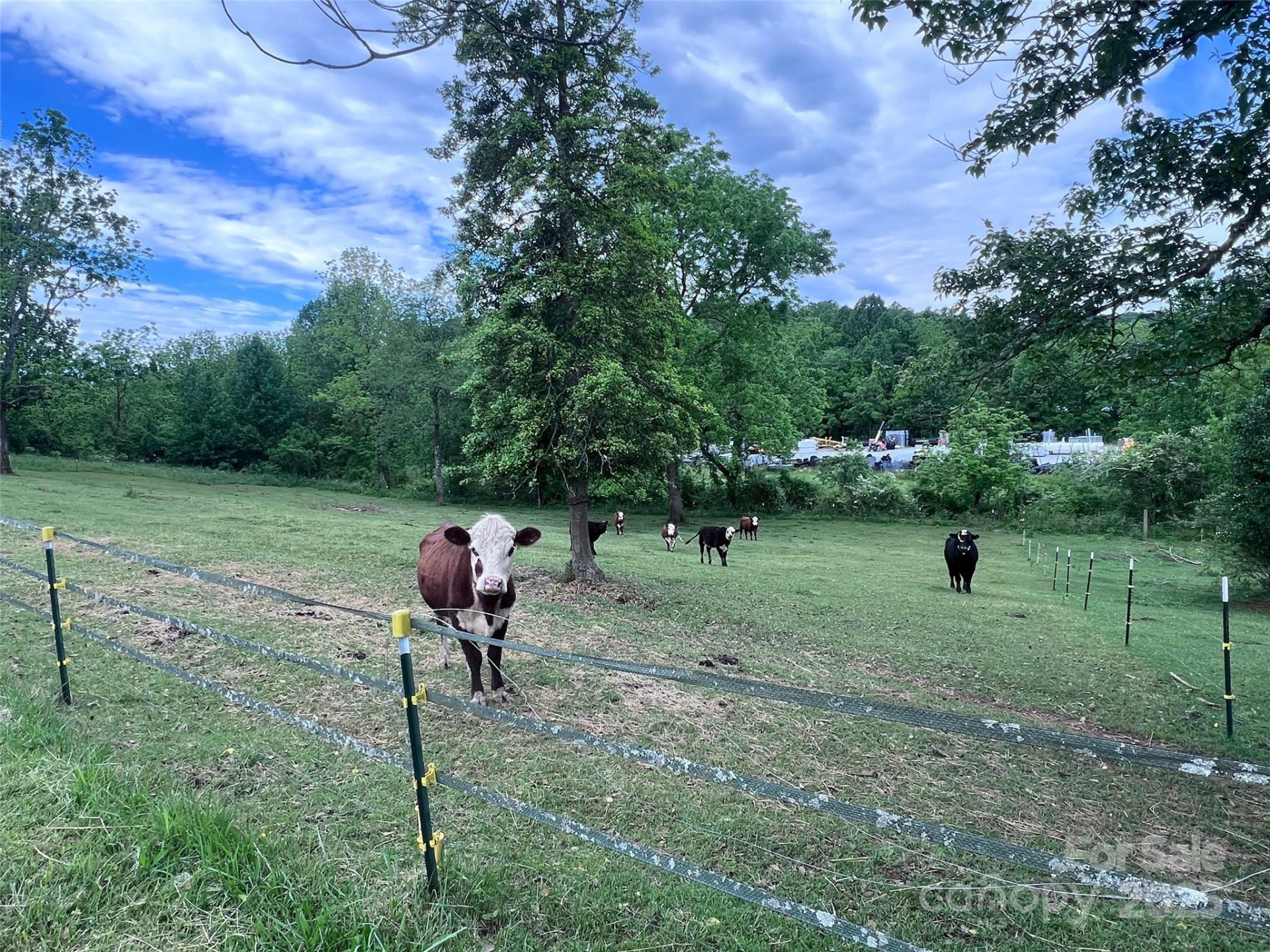 99999 Hamilton Drive - Photo 13