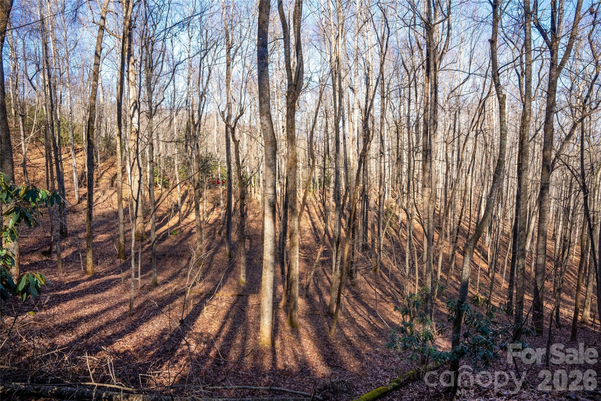 370 Moons Rest Lane - Photo 30