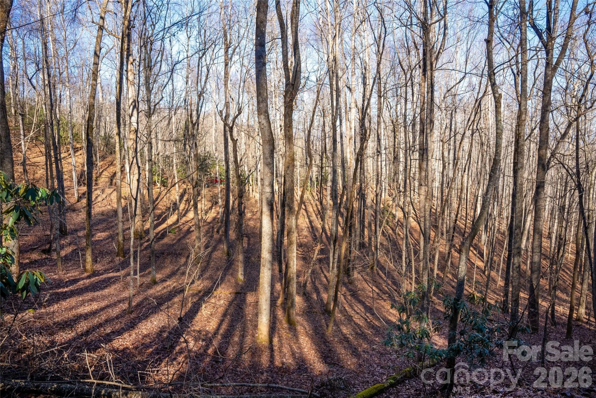 370 Moons Rest Lane - Photo 30