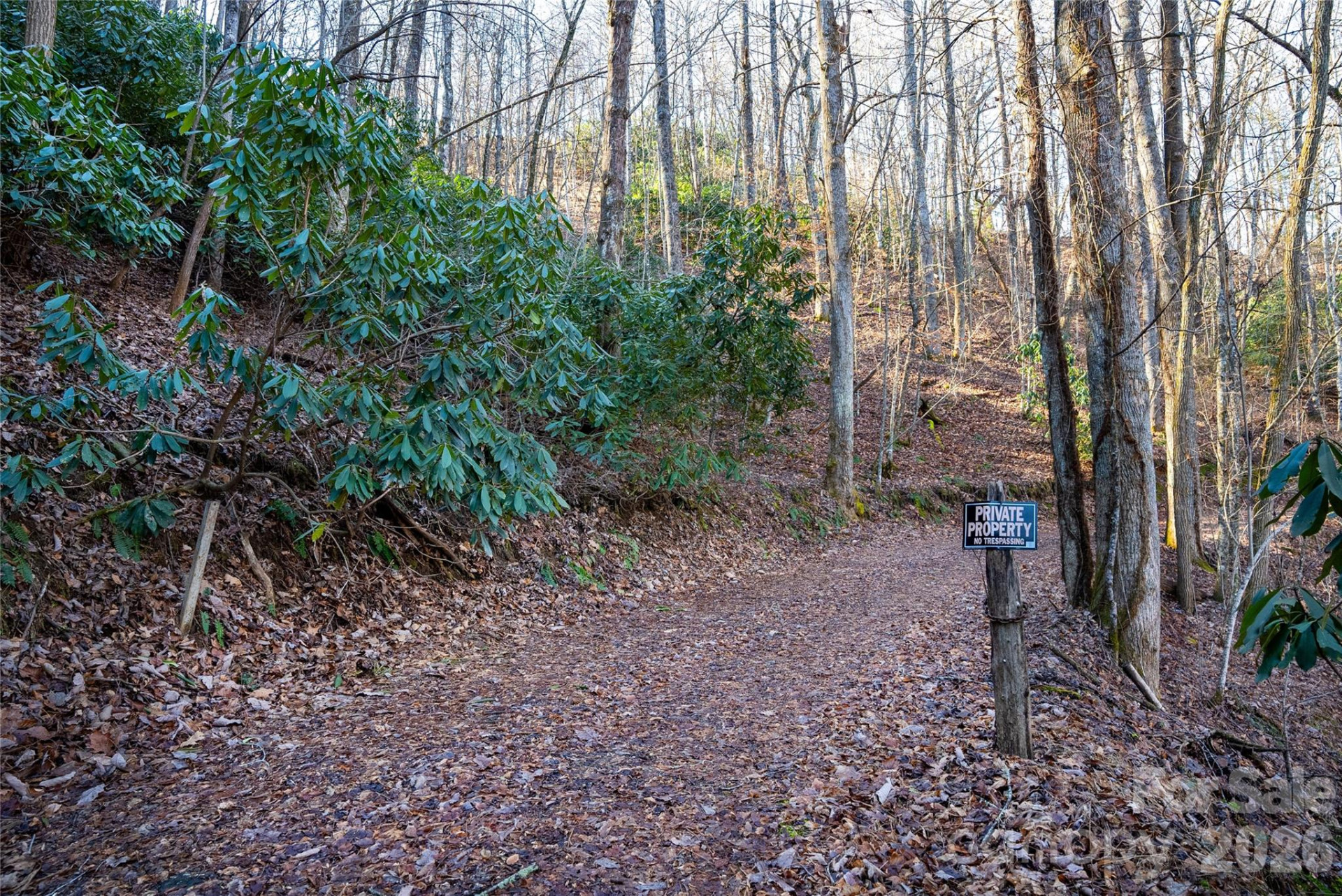 370 Moons Rest Lane - Photo 31