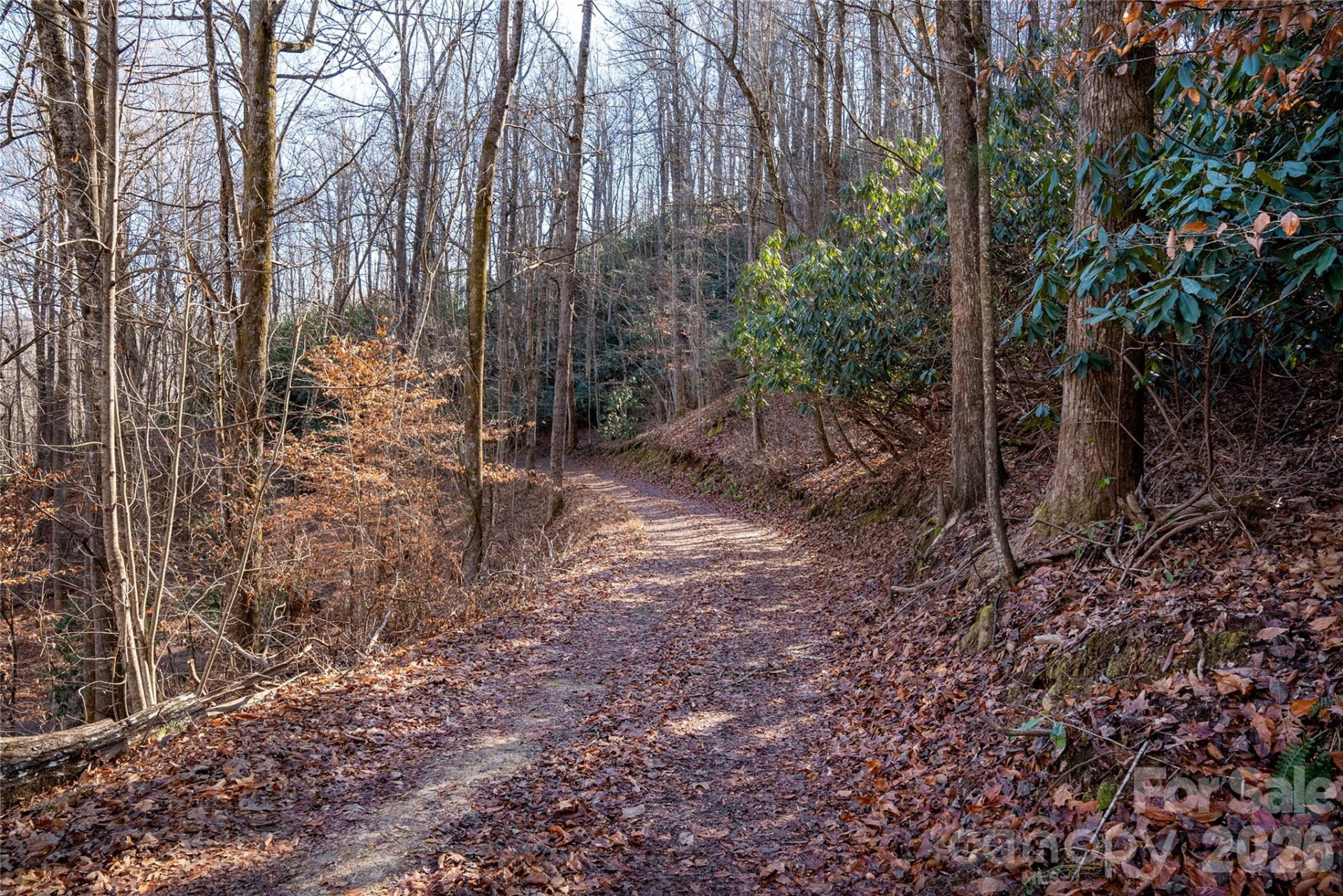 370 Moons Rest Lane - Photo 33