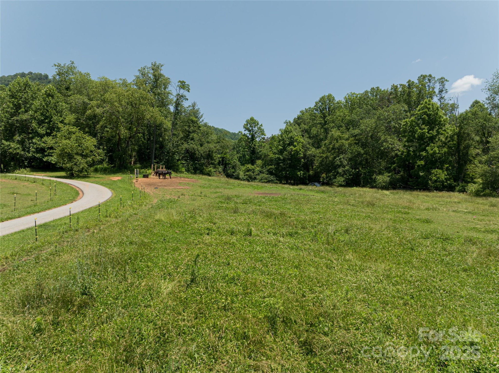 173 Avery Creek Road - Photo 2