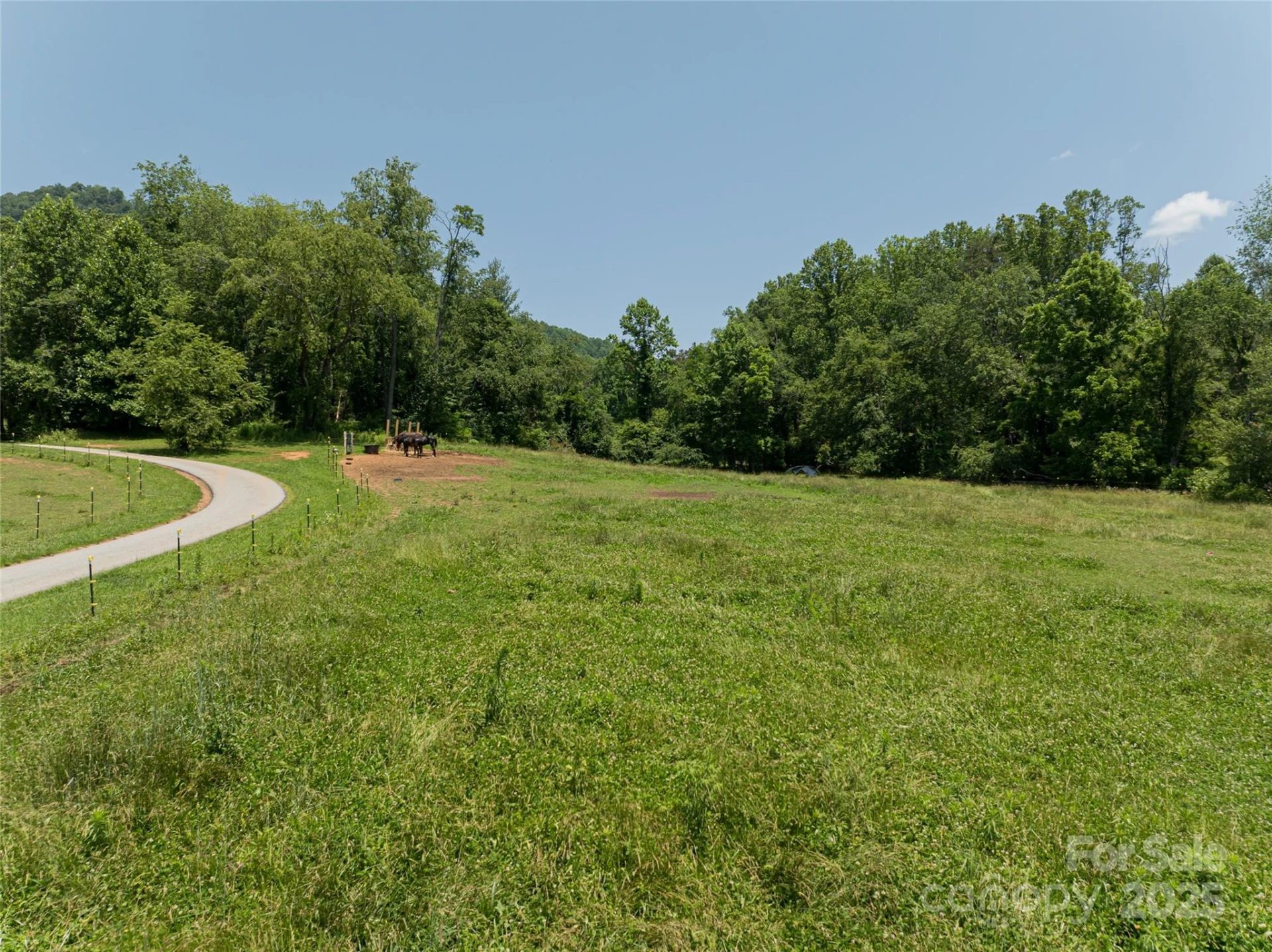 173 Avery Creek Road - Photo 2