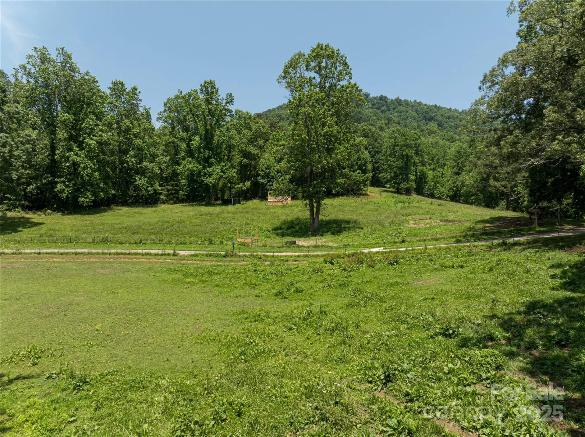 173 Avery Creek Road - Photo 15