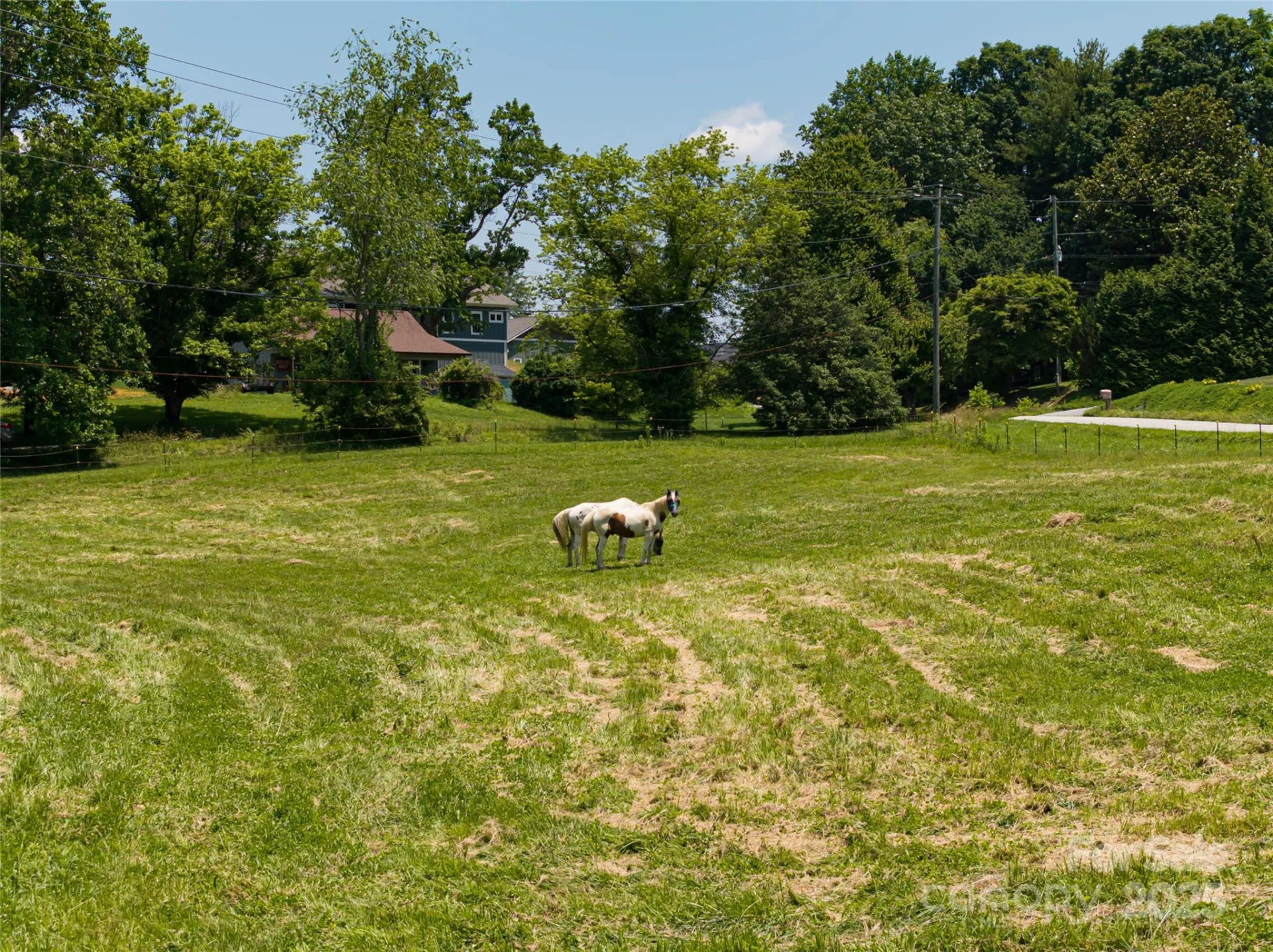 173 Avery Creek Road - Photo 4