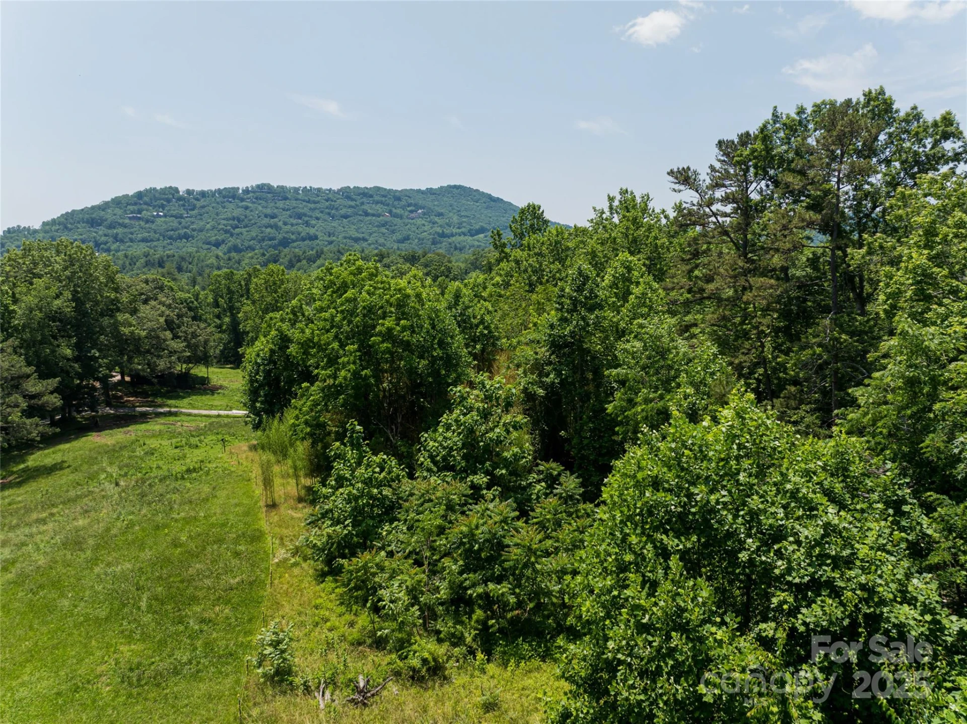 173 Avery Creek Road - Photo 8