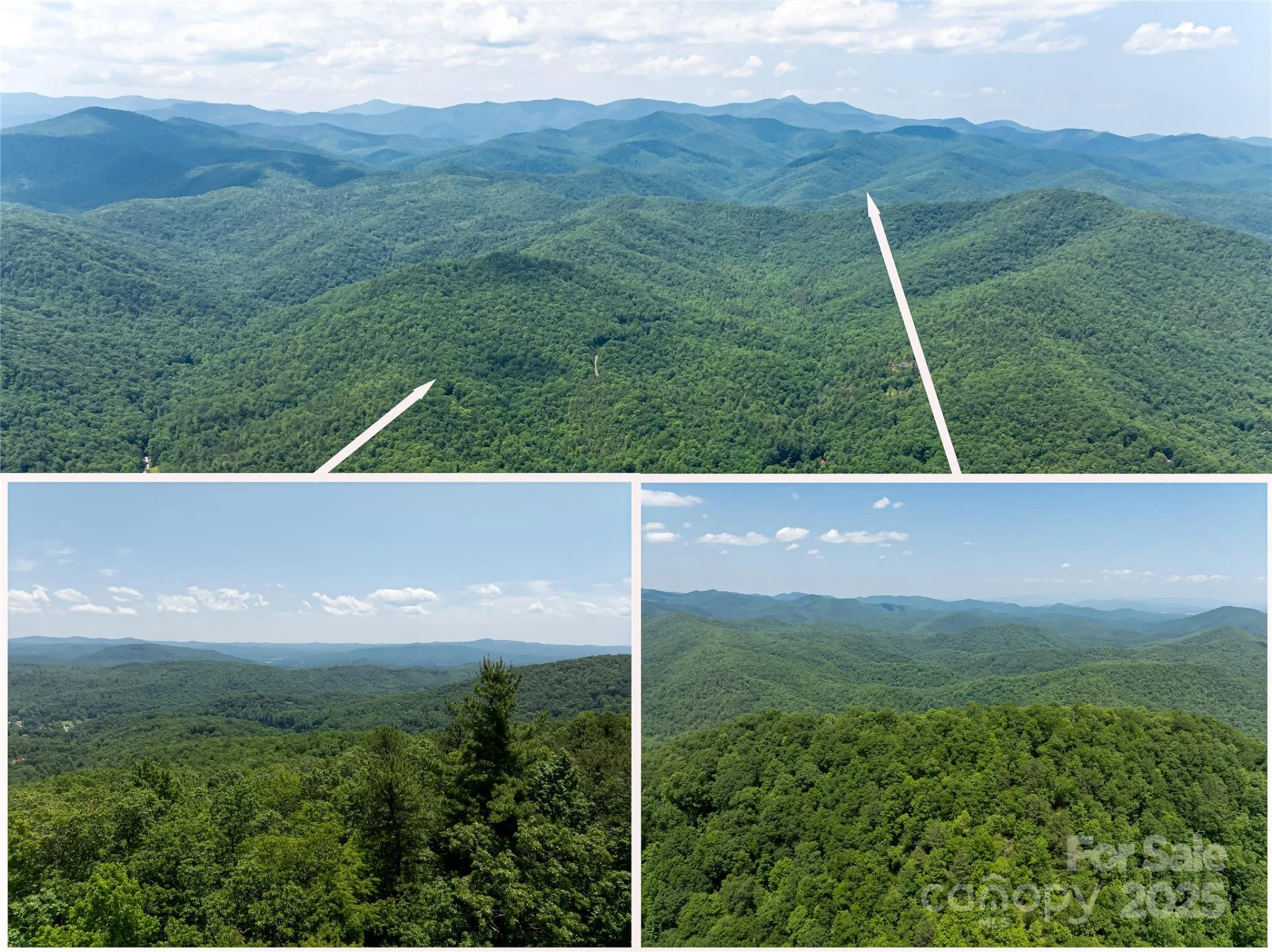 1000 Sutton Creek Road - Photo 2
