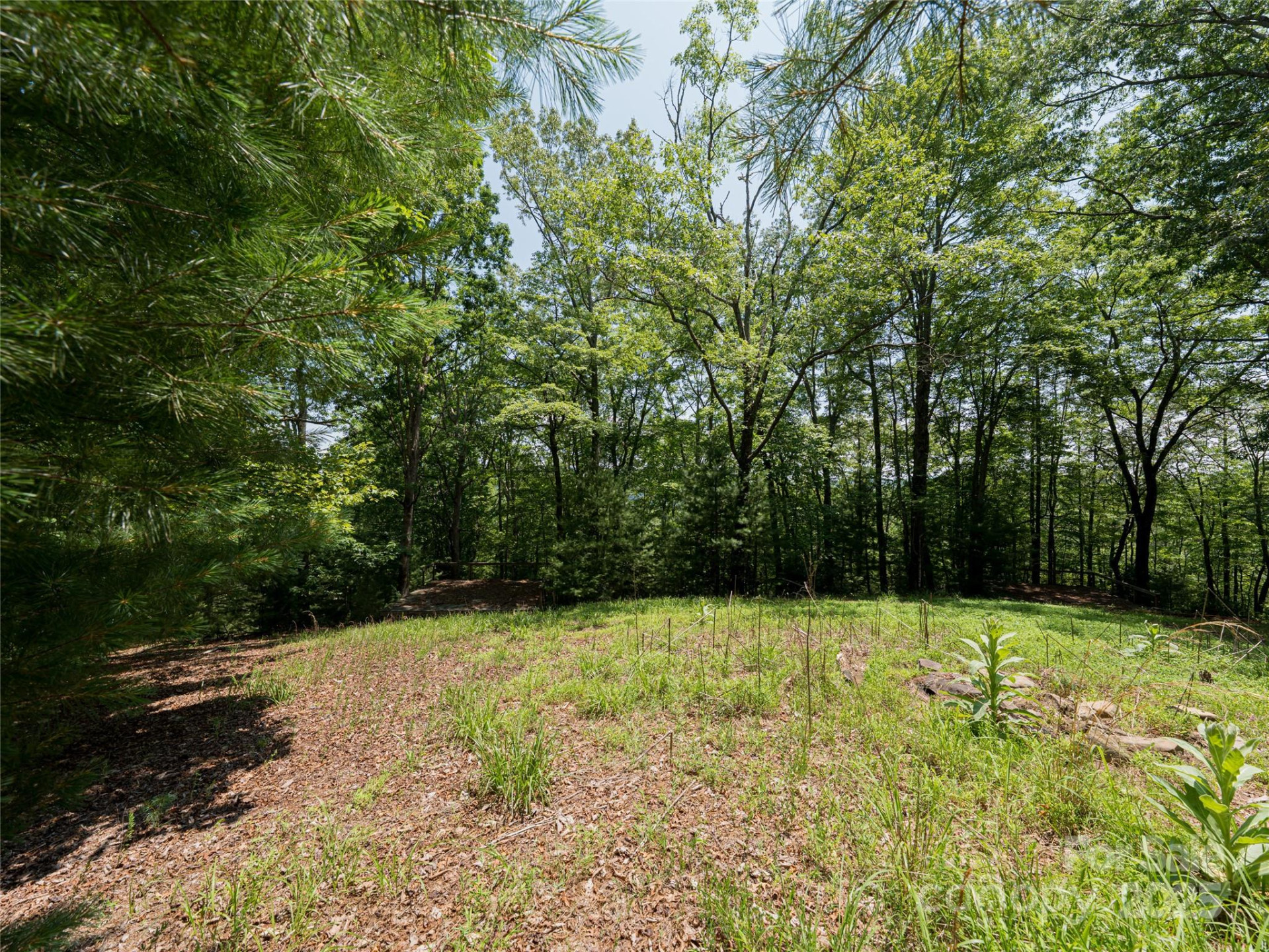 1000 Sutton Creek Road - Photo 12