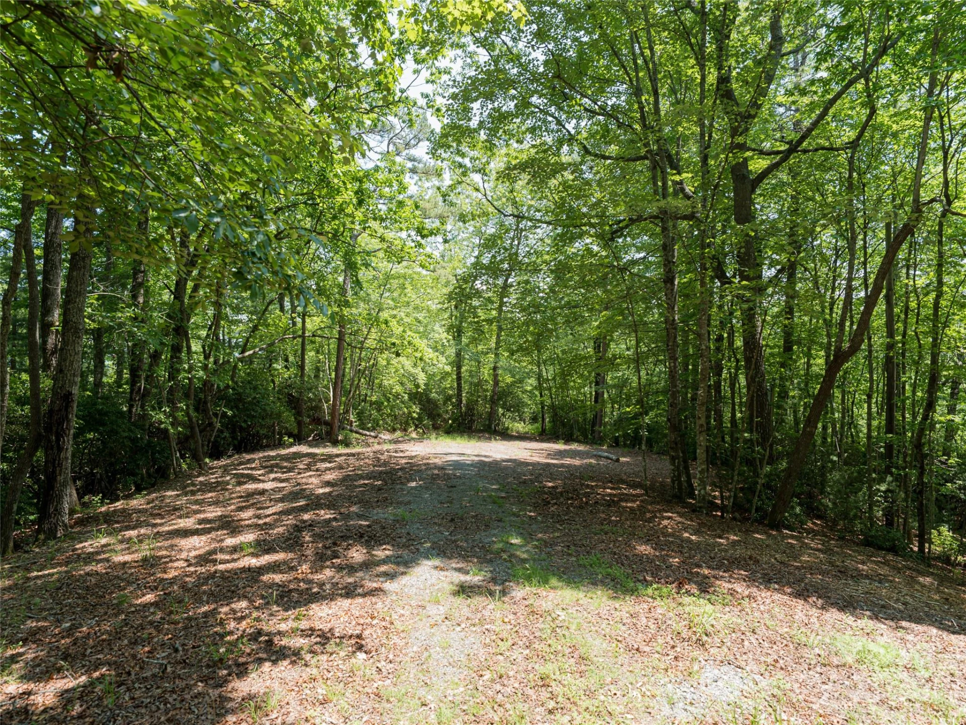 1000 Sutton Creek Road - Photo 14