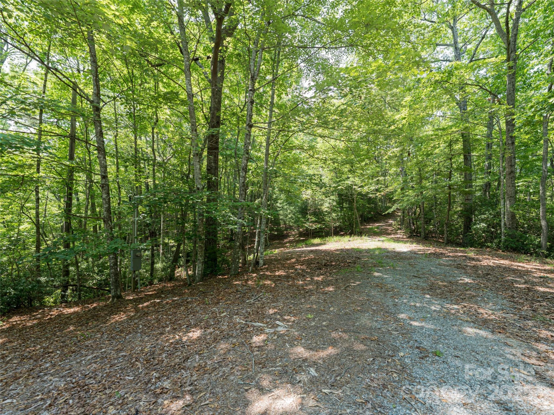 1000 Sutton Creek Road - Photo 16